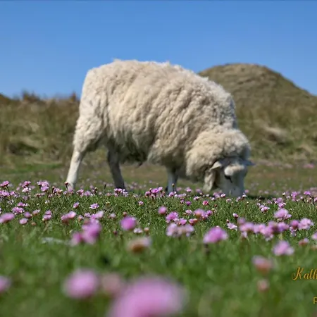 Im Haus Nordland Nordland, App 61 Lägenhet